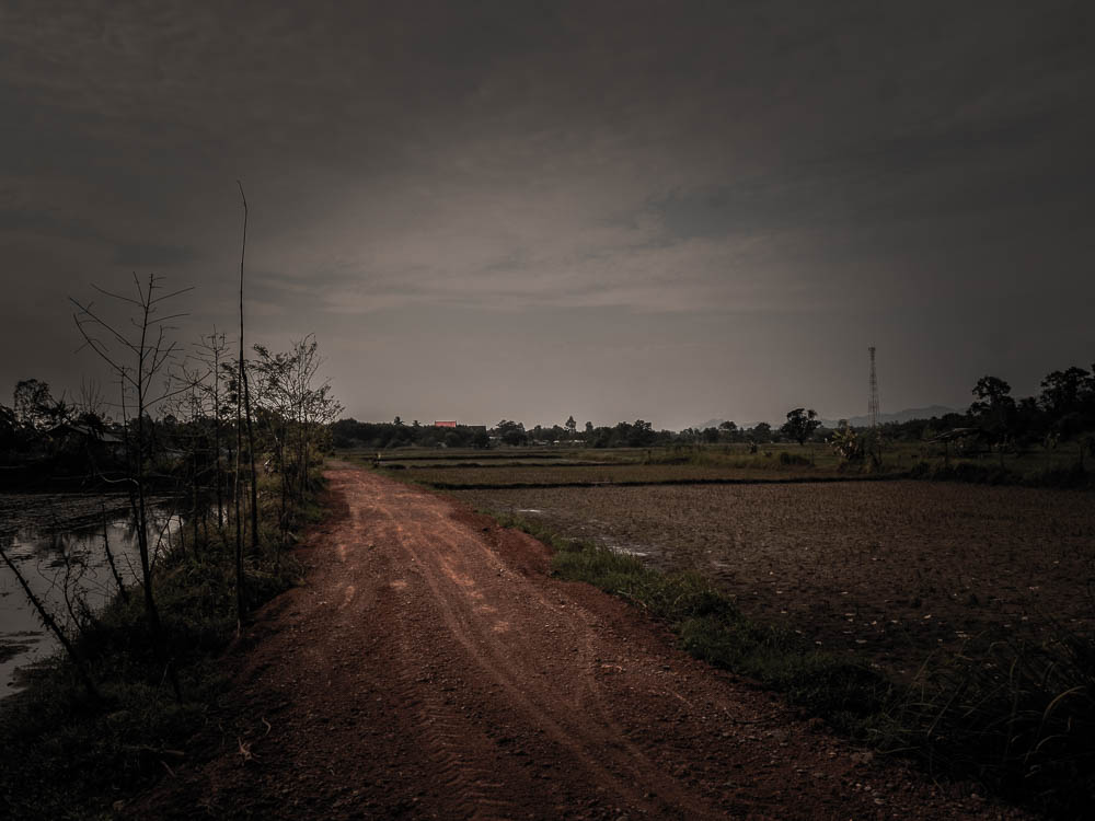 สภาพทุ่งนาหลังน้ำลด